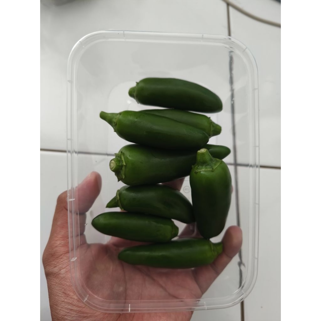 jalapeno fresh cabai hijau jalapeno gift pack 200 gr