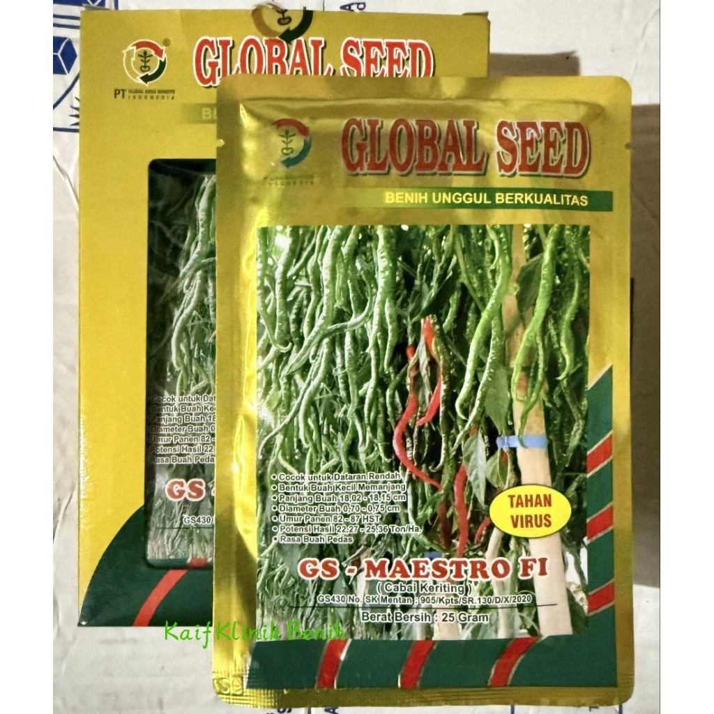 Benih Cabe Merah Keriting GS Maestro F1 25 Gram - (-+ 4.500 Biji) Cabai Keriting Tahan Virus Cap Glo