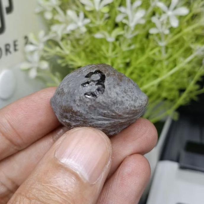 Muncang Adu Yanti Denpom JR kode 3