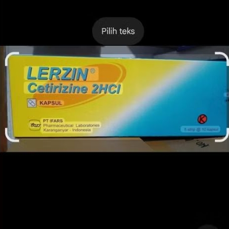 Lerzin - Box