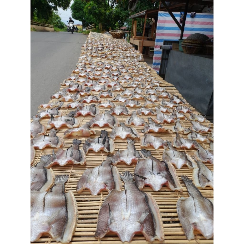 IKAN GABUS KERING KHAS KALIMANTAN