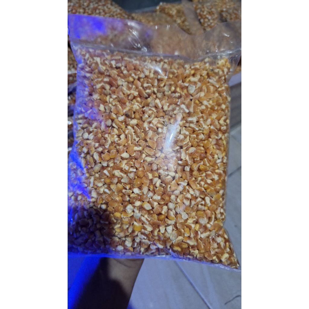 Jagung Kering pakan ternak