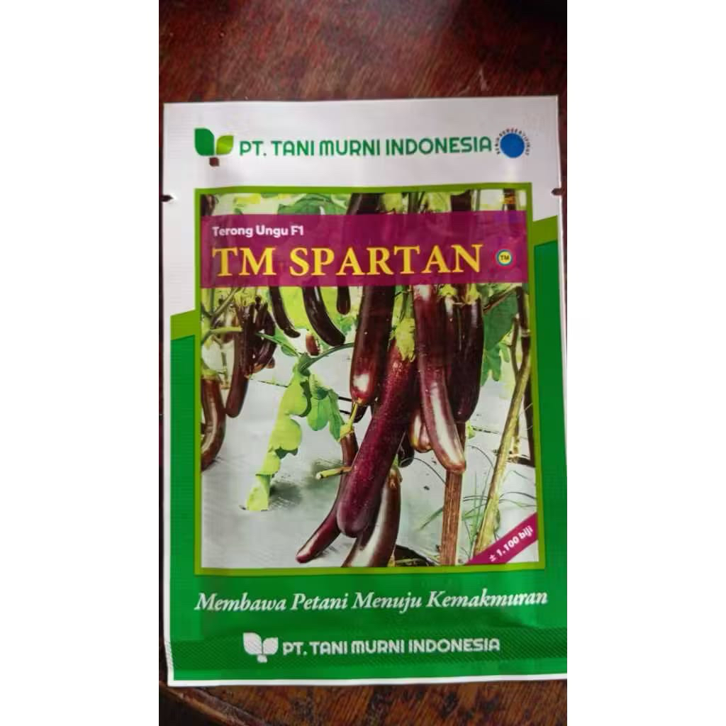 BENIH TERONG UNGU F1 TM SPARTAN