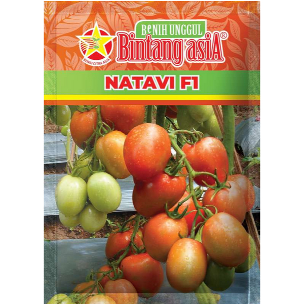 BENIH TOMAT NATAVI F1 10GR BENIH CITRA ASIA