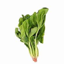 Bayam jepang segar, bayam jepang, horenzo fresh
