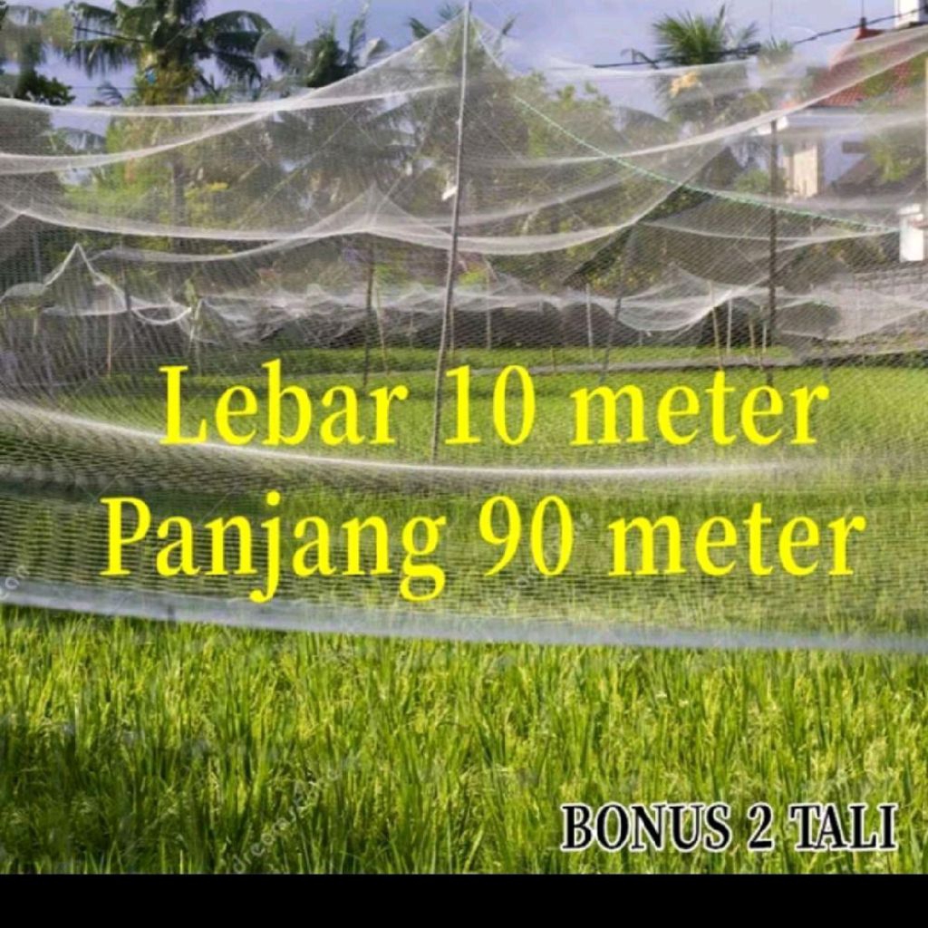 JARING BURUNG EMPRIT / JARING BURUNG 10x90 METER / JARING PADI /JARING SAWAH HITAM PUTIH BONUS TALI