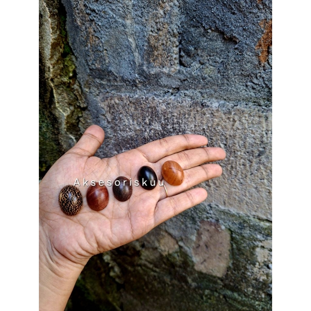 Mata cincin kayu / akik kayu bertuah nusantara