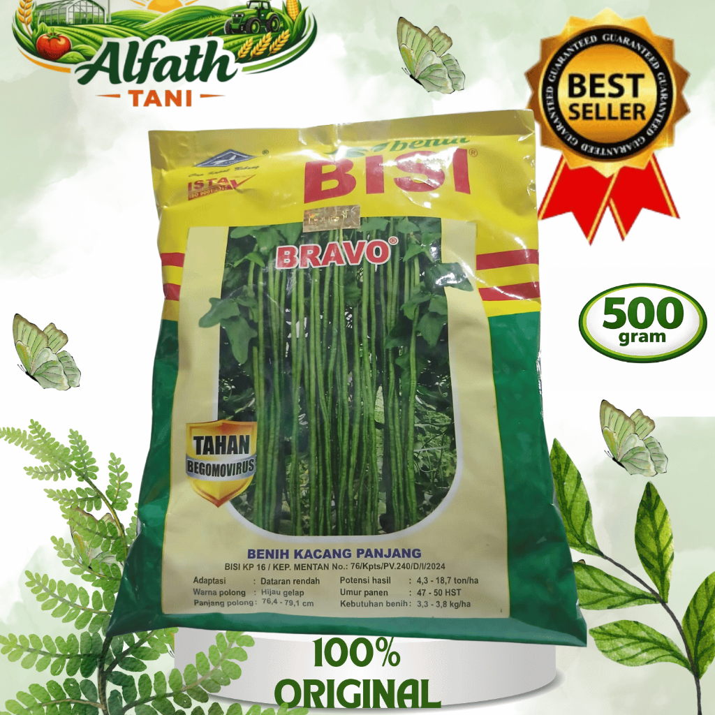 Benih Kacang Panjang Bravo 500gr - Cap Kapal Terbang