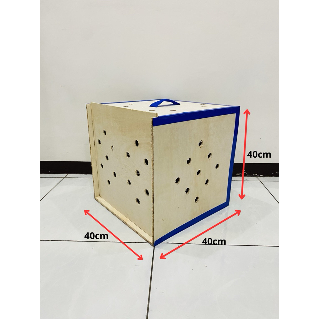 Box pengiriman ayam bangkok Isi 2 | buat pengiriman ayam bangkok 40x40x40