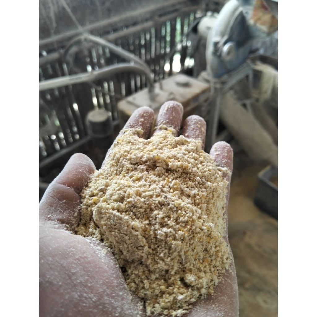 Tepung Jagung Berkualitas Pakan Ternak 5kg