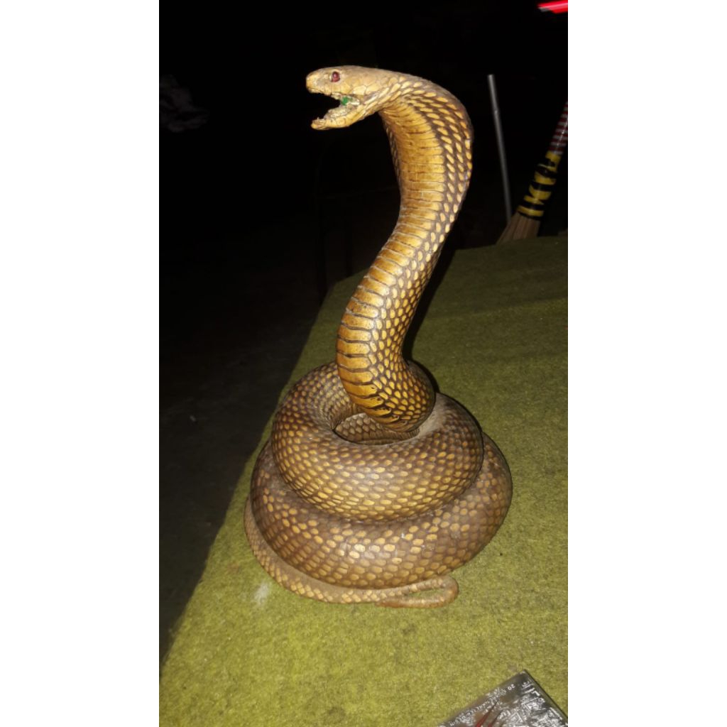 Patung asli ular cobra jaga relung 100% ASLI