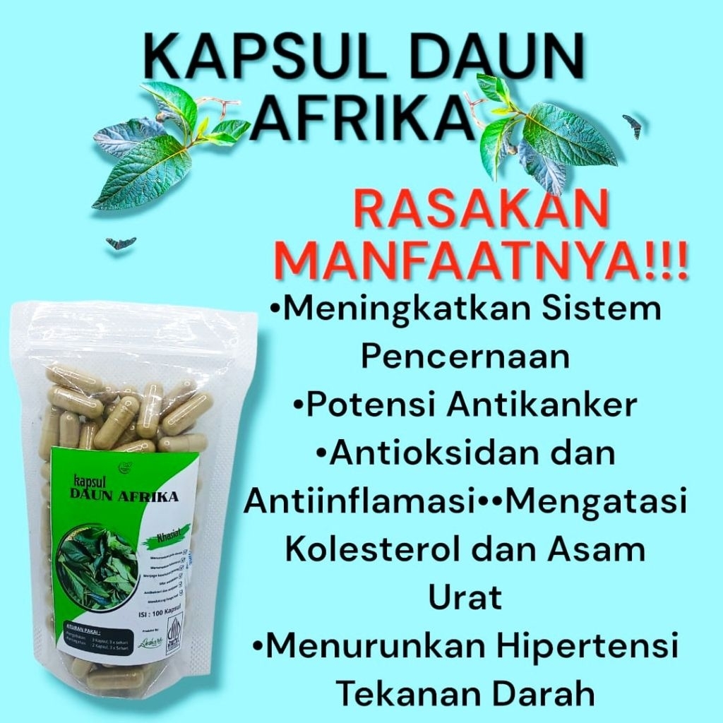 kapsul daun afrika murni isi 100,menurunkan gula darah (diabetes), kolesterol, dan tekanan darah tin