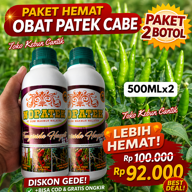 Paket NOPATEK 2 Botol 500ml Obat Patek Cabe Obat Antraknosa Cabe Obat Jamur Cabai Obat Busuk Buah Ca