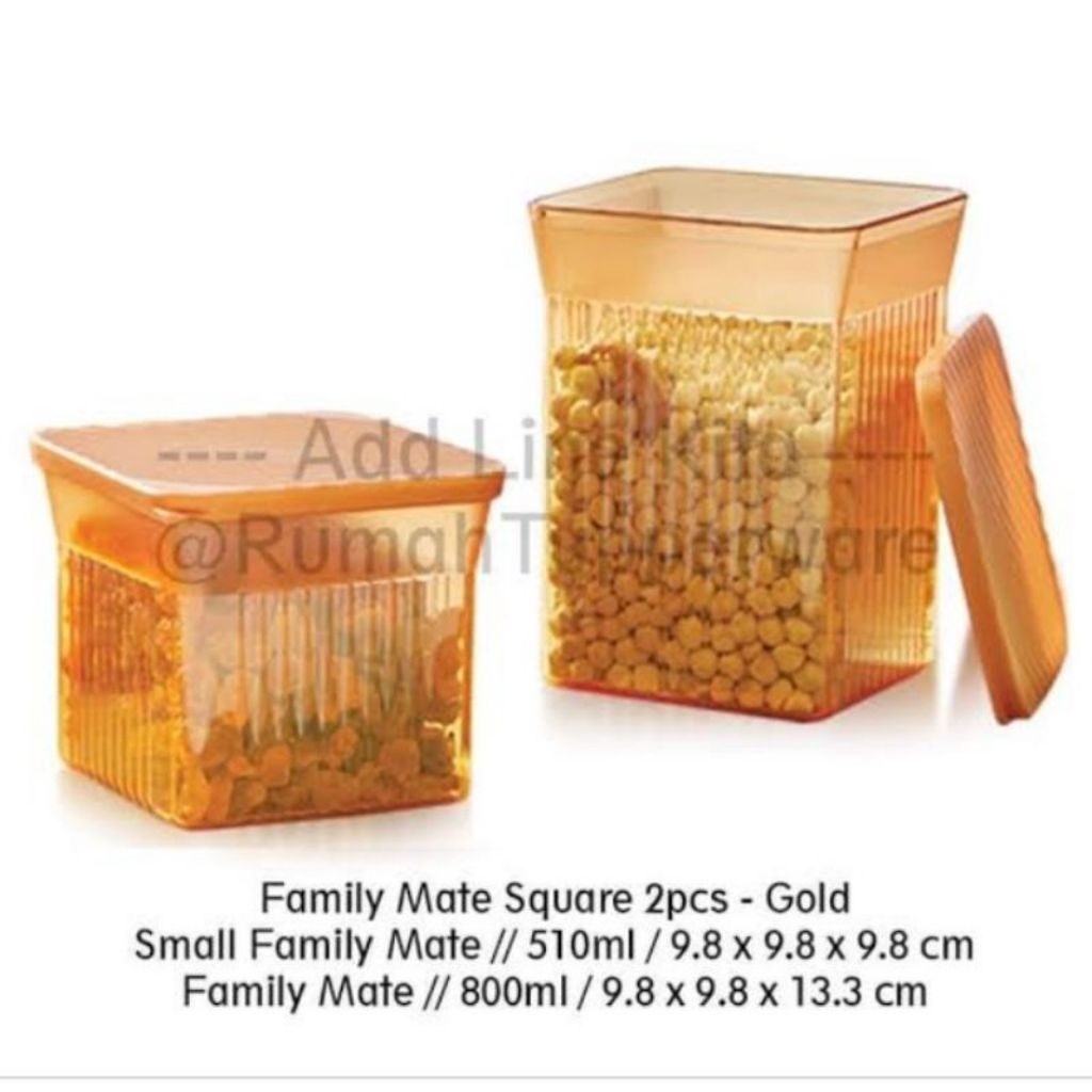 Family mate square Tupperware