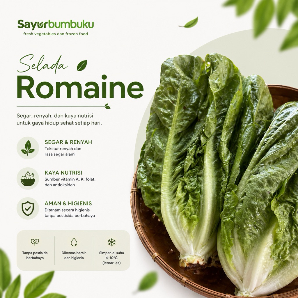 Selada Romaine Segar | selada renyah | Sayurbumbuku
