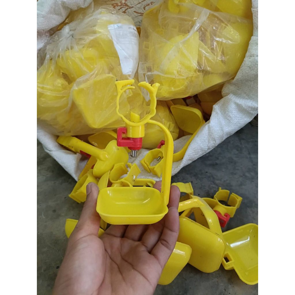 tempat minum ayam petelur nipel