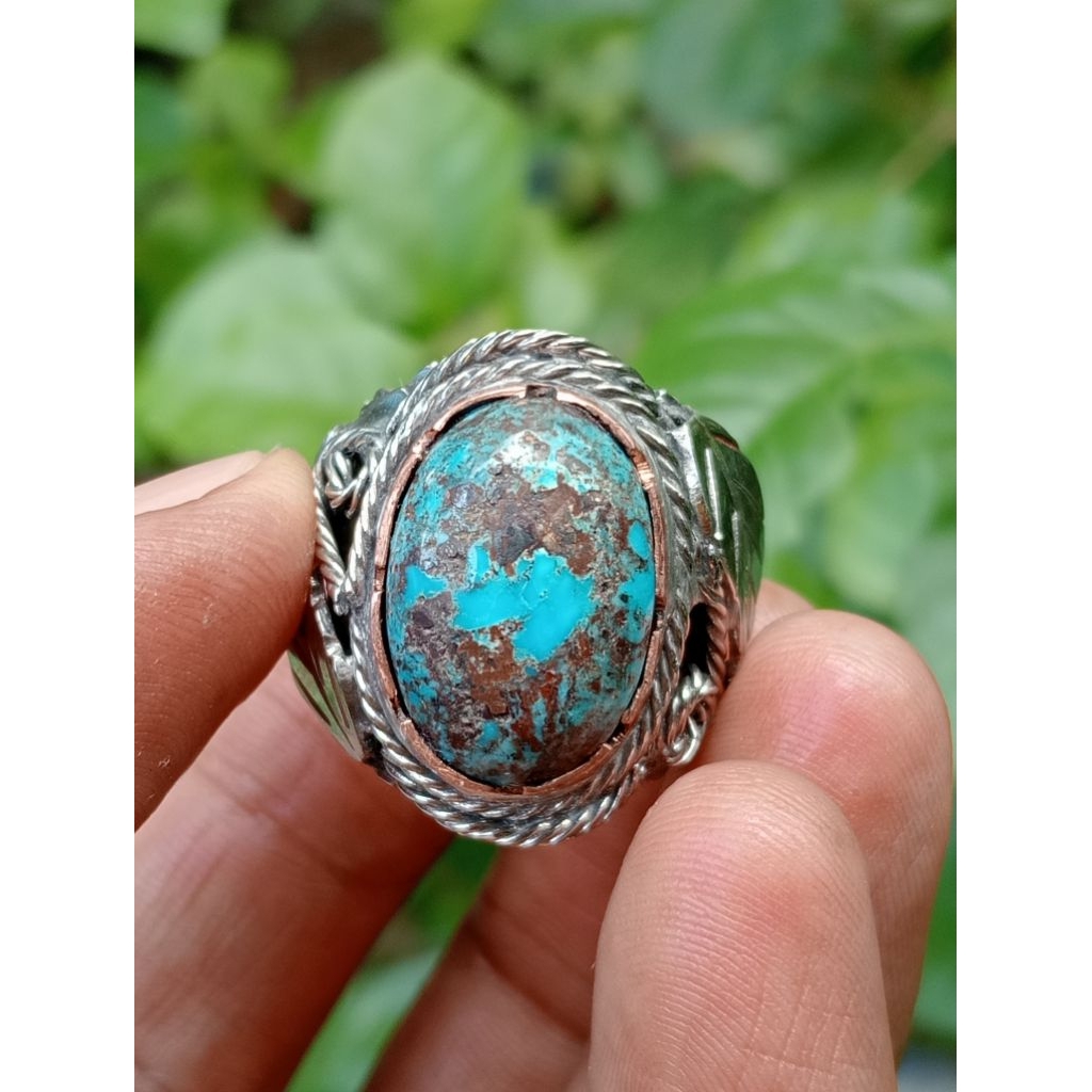 pirus Persia biru fancy 002