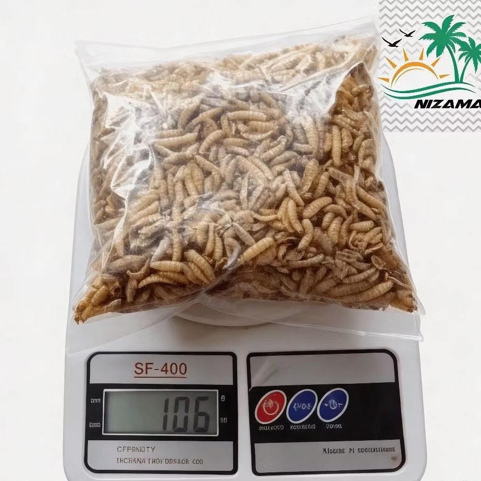 maggot kering 100gr/magot kering/Maggot Bsf/Magot/