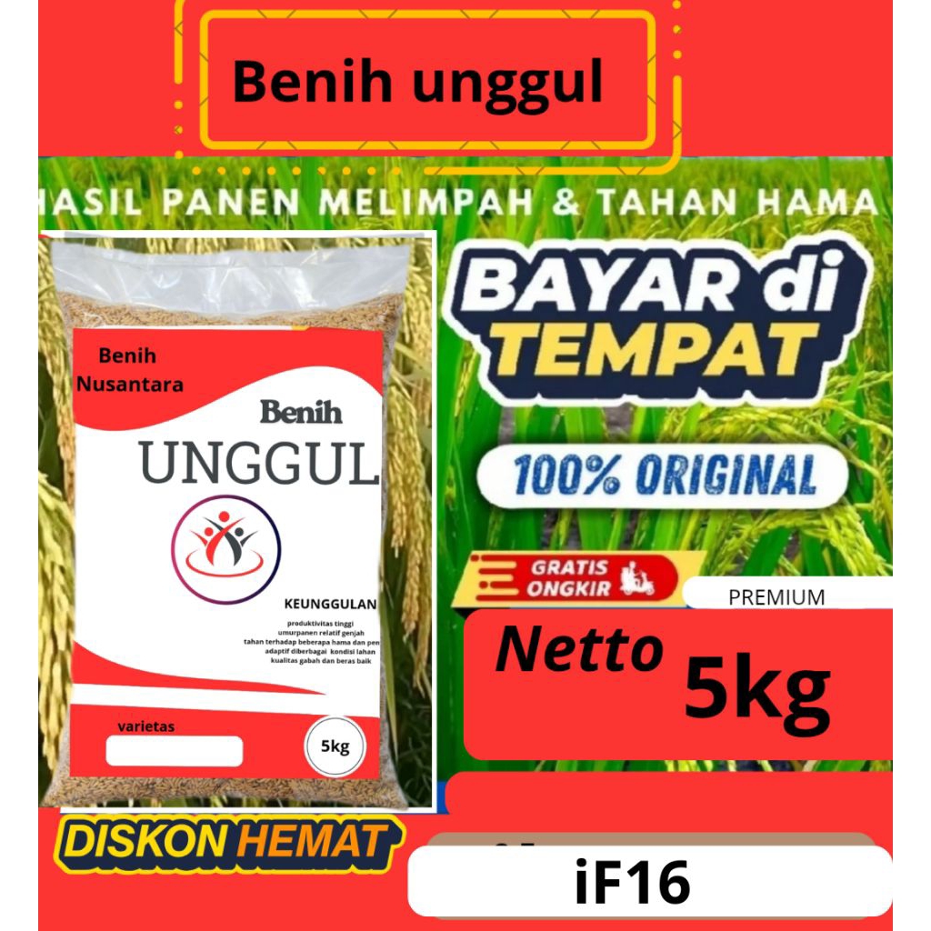 benih padi IF 16kemasan 5kg.