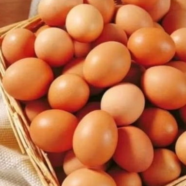 PROMO Telur ayam kualitas bagus super ( kraksaan,Paiton,Pajarakan,Besuk)