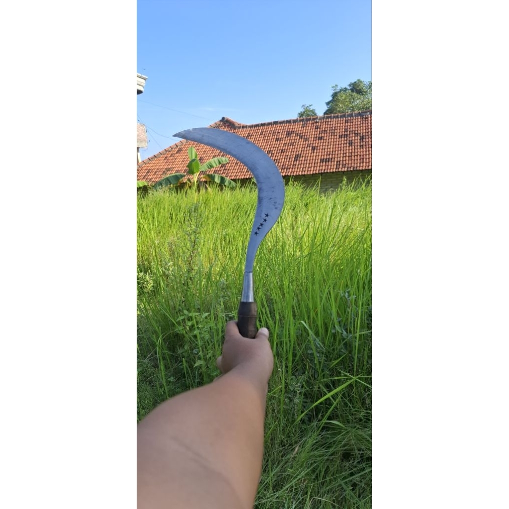 arit bintang lima berkualitas premium arit rumput bahan baja alat bekebun