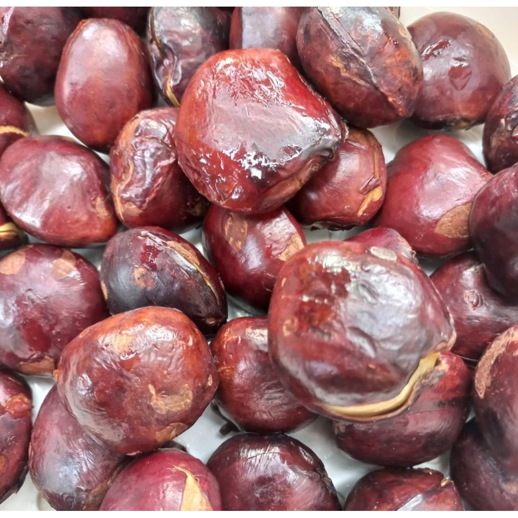 Jengkol Rebus