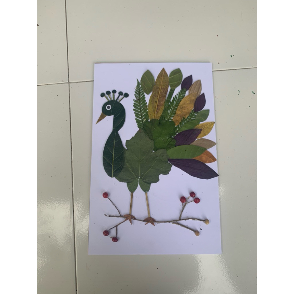 Kolase daun kolase hewan kolase merak