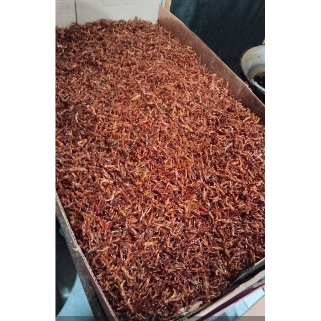 Snack Belalang Kecil Goreng Original Pedas Manis Gurih