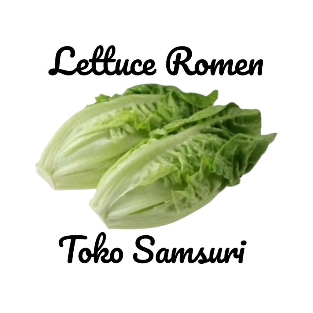 Sayur Segar • Lettuce Romen • Sayur Romen