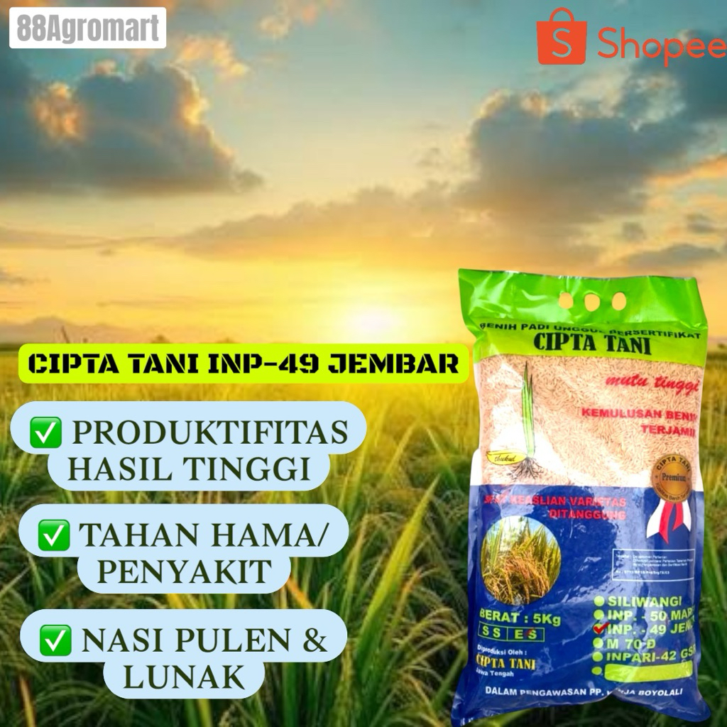 Benih Padi Inpari 49 Jembar 5Kg