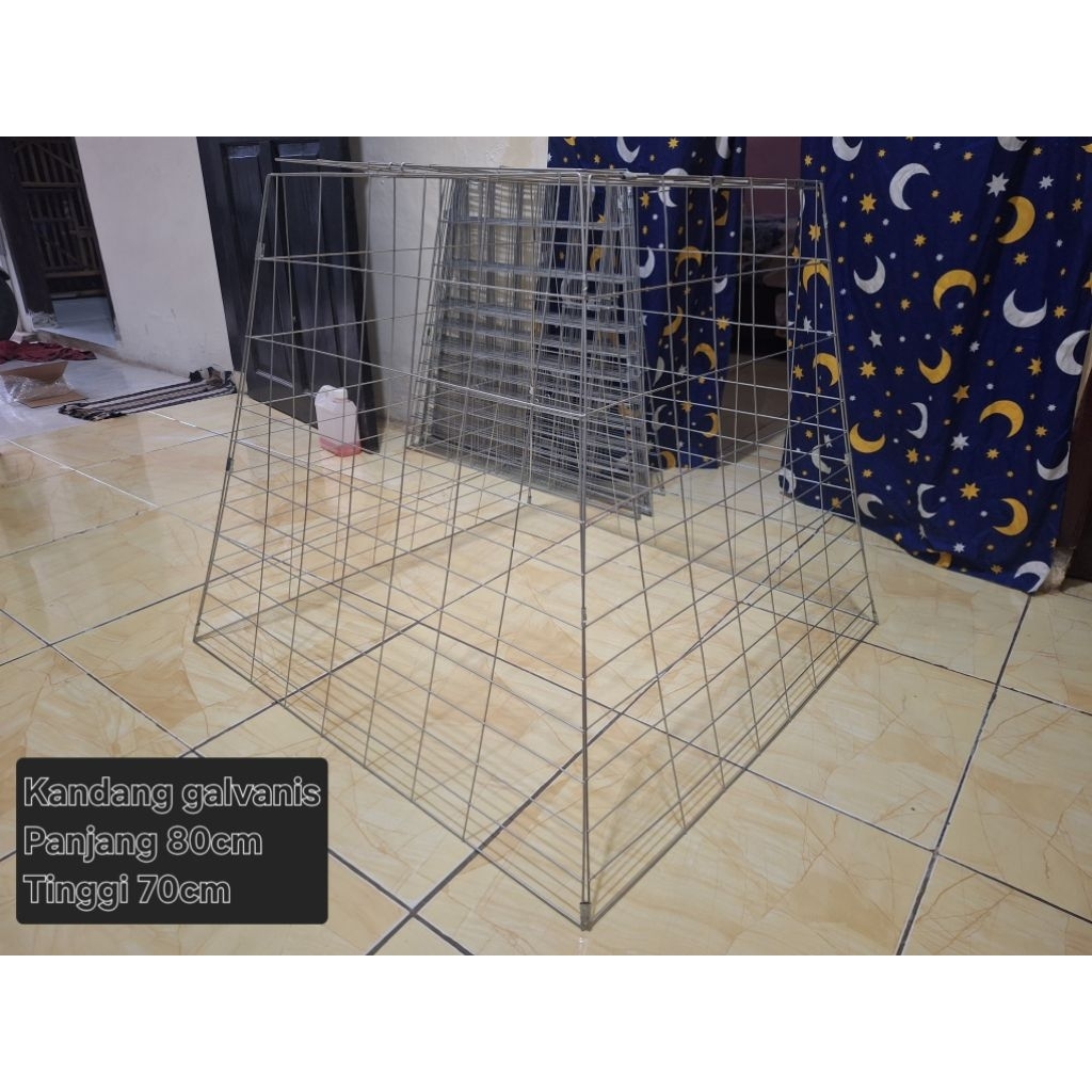 kandang ayam, bebek, kucing galvanis piramid