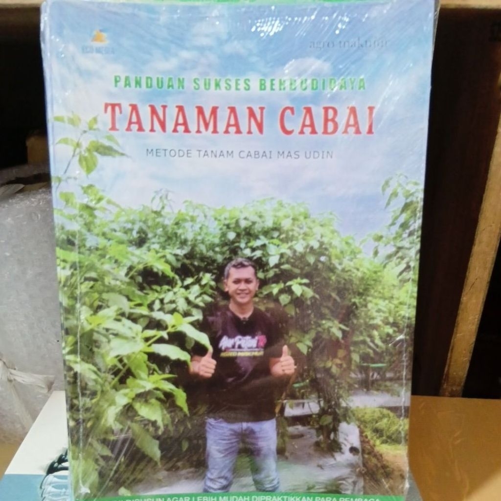 PANDUAN SUKSES BERBUDIDAYA TANAMAN CABAI  METODE TANAM CABAI MAS UDIN