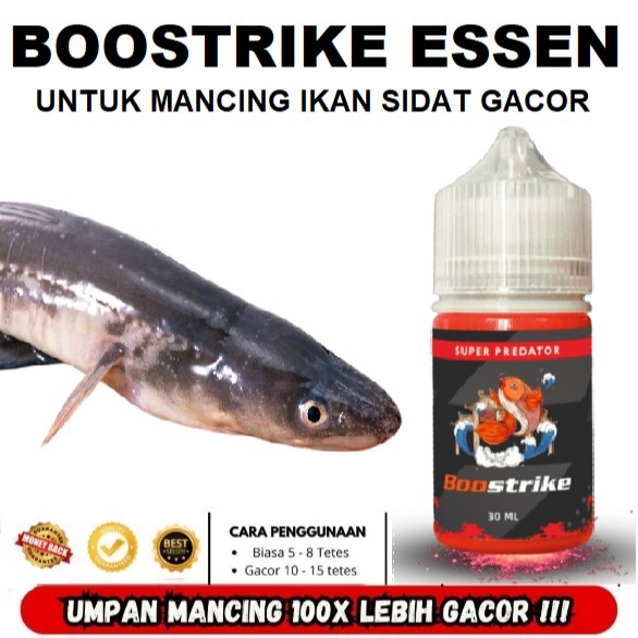 BOOSTRIKE ESSEN IKAN SIDAT SUPER GACOR SIAP PAKAI ISI 30ML | Umpan Jitu Auto Strike Cepat di Sungai 