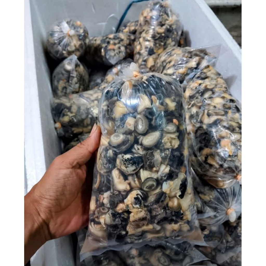 Daging Keong Sawah 1kg