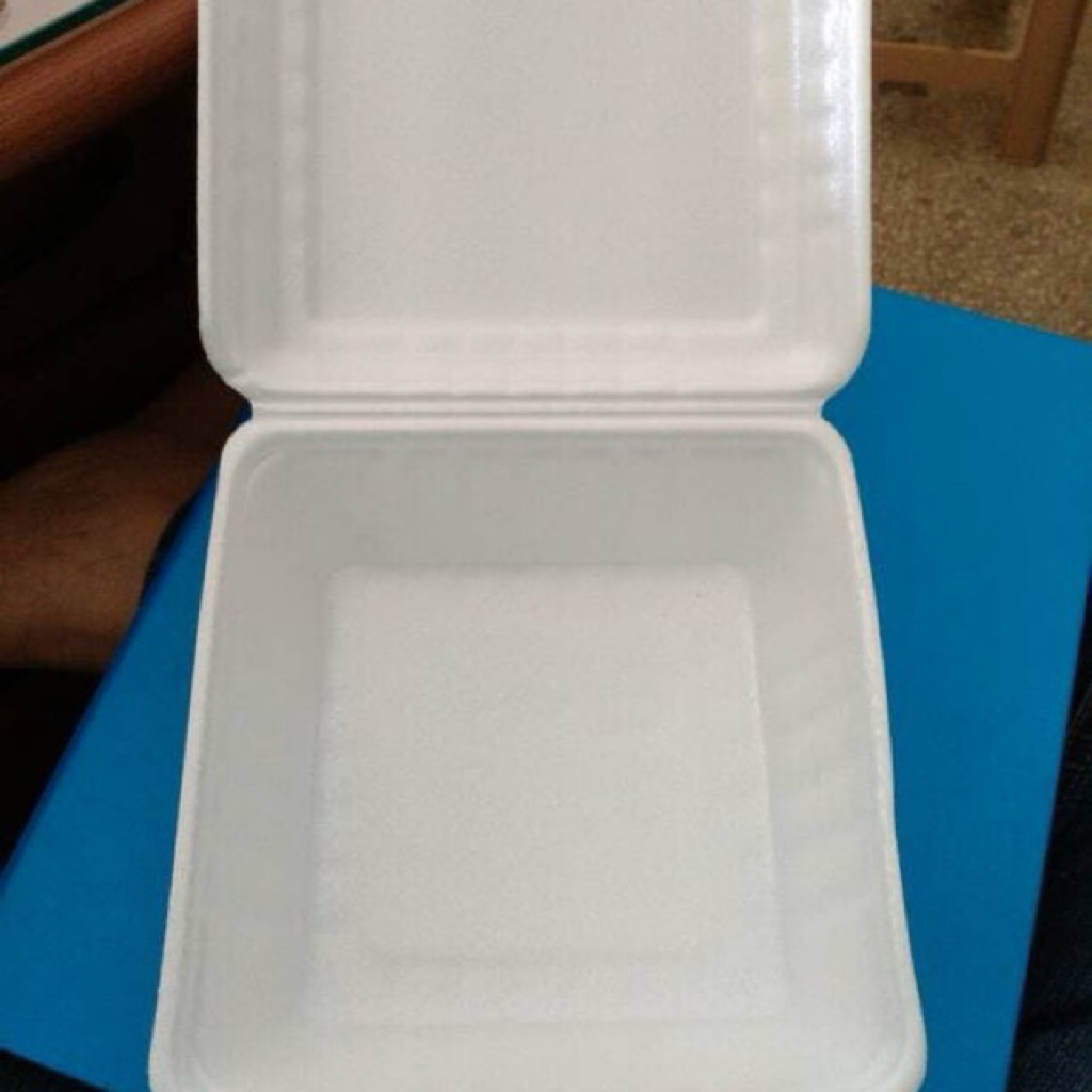 [Instan kota batu] Stereofoam Nasi / makanan / pangsit / burger / foam polos / foam sekat