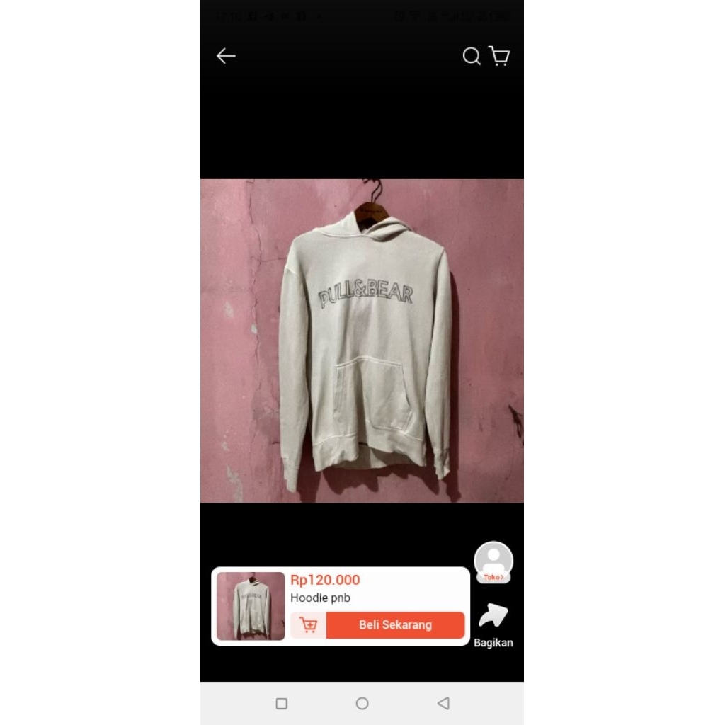 Hoodie pl pnb