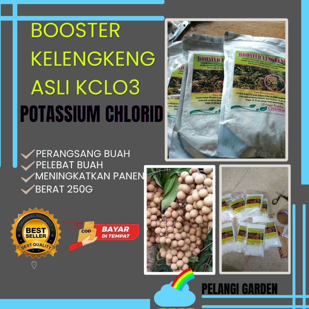 CEPAT BERBUAH  Booster Kelengkeng Buat Kelengkeng, Booster Kelengkeng Cair