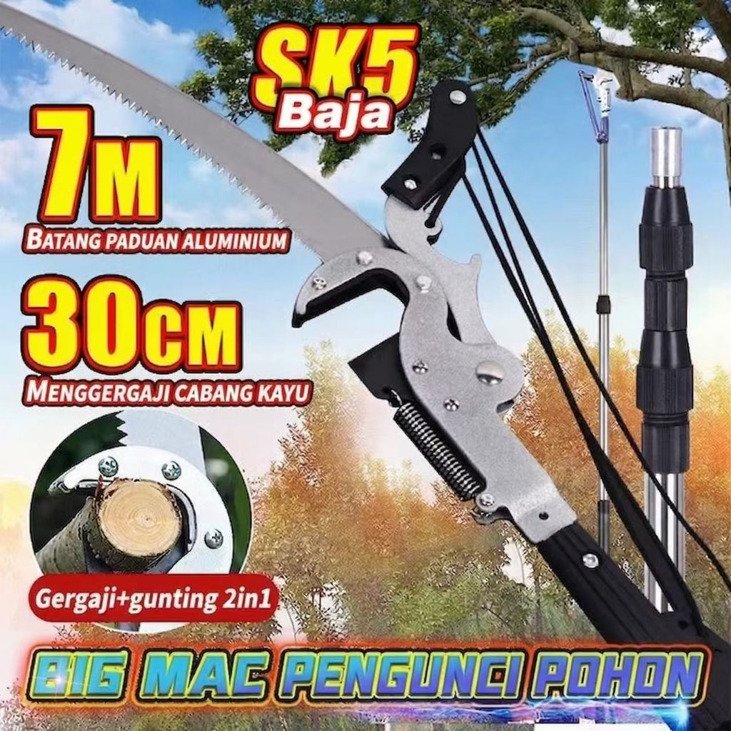 Gunting Ranting Pohon Pemotong Pohon Tinggi Pemetik Buah  Alat pemotong ranting pohon tinggi Gunting