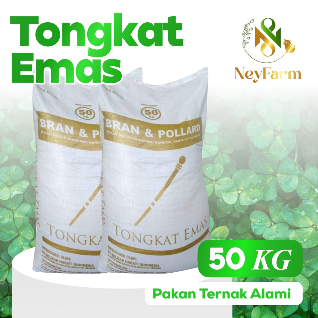 POLLARD Tongkat Emas 50 Kg / BRAN & POLLARD Polar Pakan Sapi - Polar Pakan Kambing