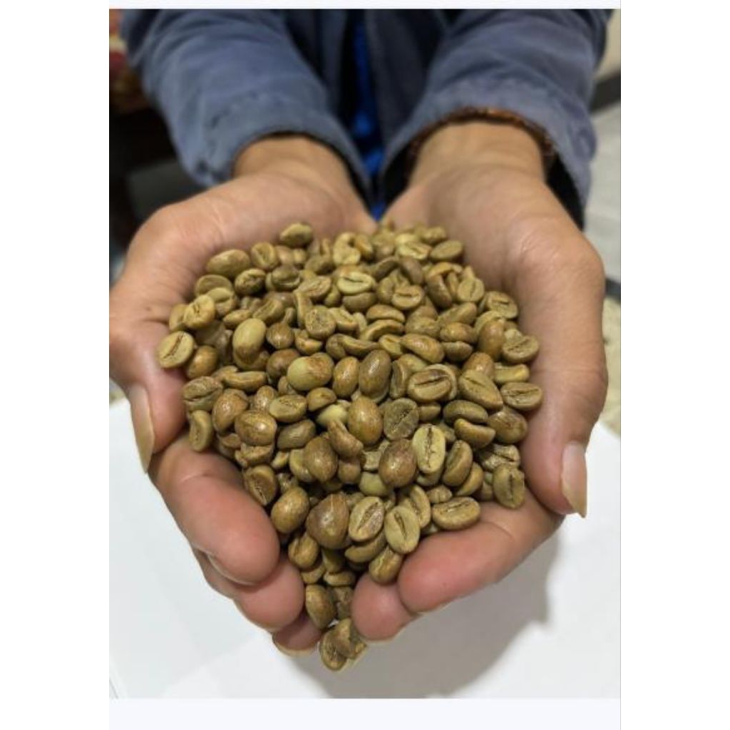 Kopi gabah robusta fresh 250 gram