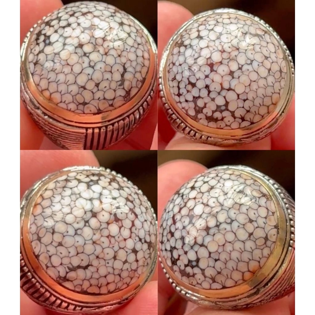 FOSSIL JHIPEN SNAKE SCALE SISIK ULAR FULL SISIK ANTIK TOP COLECTOR ITEM