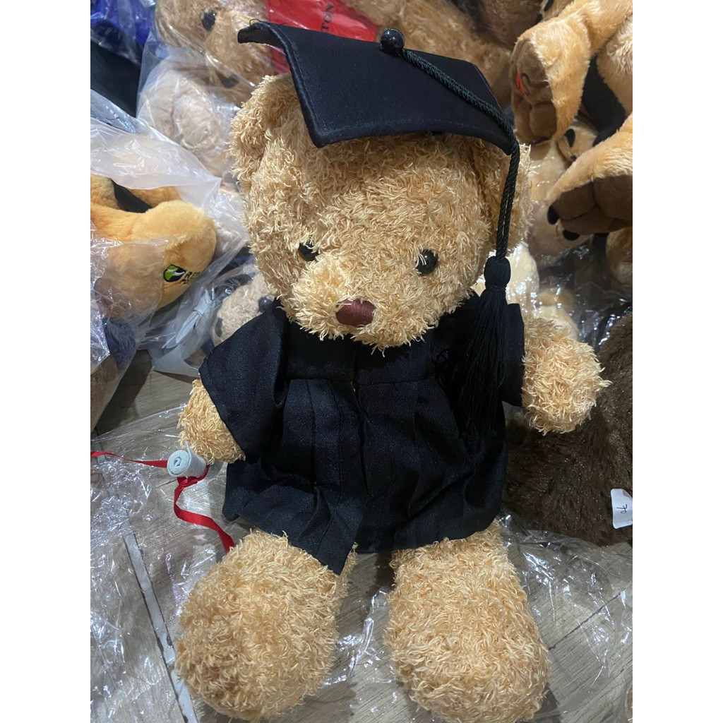 Boneka teddy wisuda kostum hitam