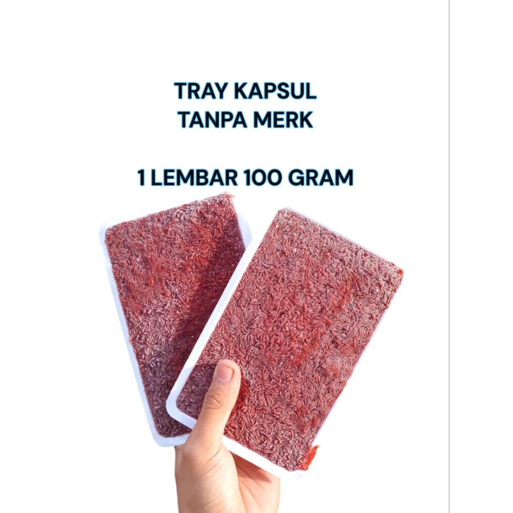 Cacing beku kapsul tray tanpa merk 100 gram / cacing beku / cacing beku tray / cacing beku kapsul / 