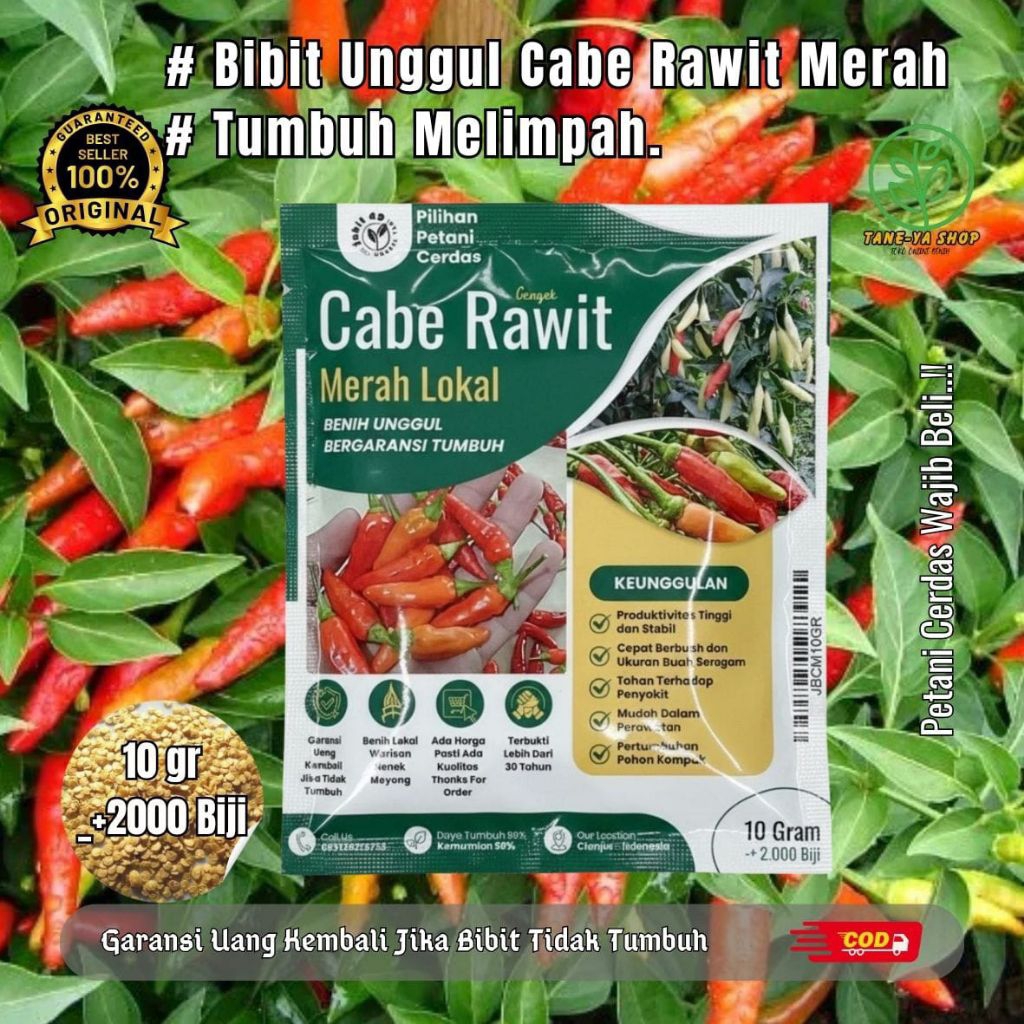 Bibit Cabe gunung Rawit Merah/Bibit Cabe 5 gr,10 gr,25 gr & 50 gr/Cabe Gunung Extra Pedas Bikin Jeng