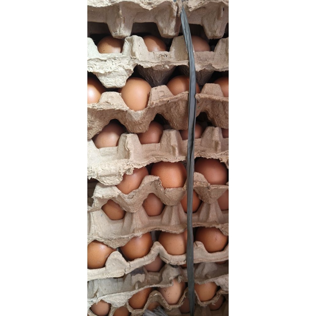 telur 1kg Bekasi utara