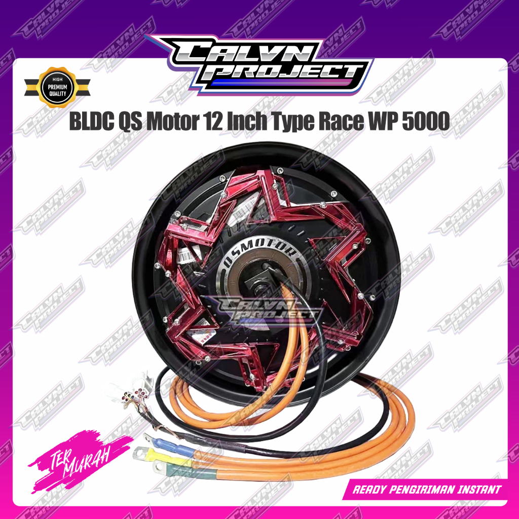 BLDC QS Motor 12 Inch Type Race WP 5000