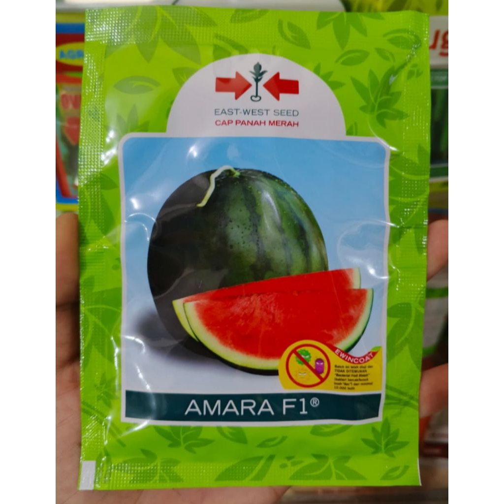 BENIH SEMANGKA AMARA F1