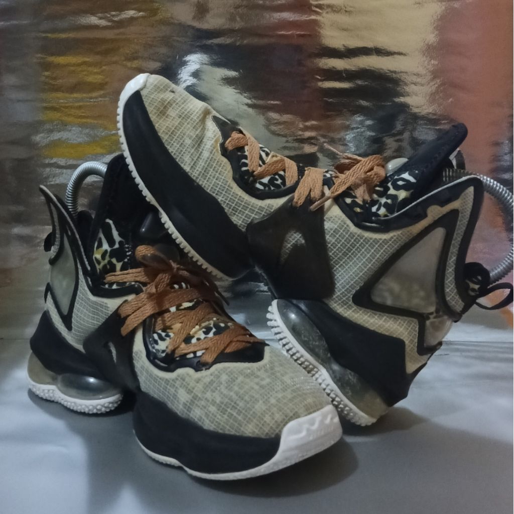Nike Lebron James 19 Leopard size 38