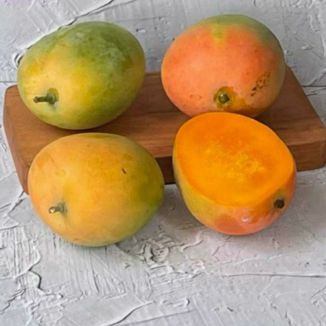 BUAH MANGGA GEDONG SEGAR MANIS SUPER QUALITY