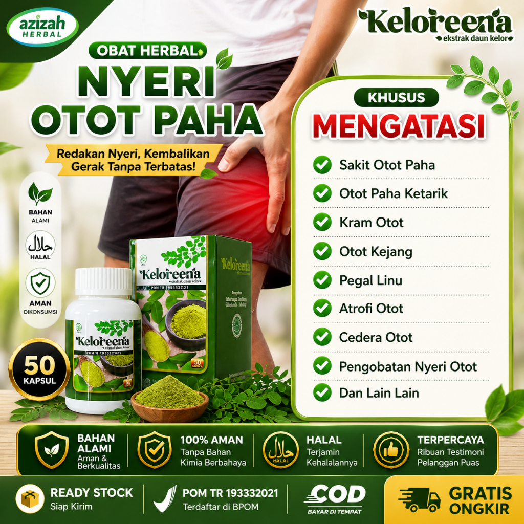 Obat Nyeri Otot Paha Ketarik Betis Kram Kesemutan Otot Pegal Linu Atrofi Otot Robek Herbal Keloreena